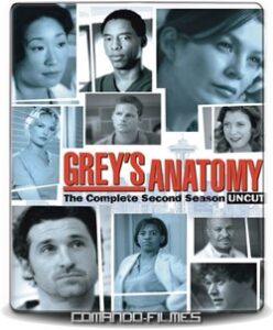 Greys anatomy 2 Temporada, assistir greys anatomy online