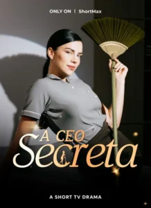 Assistir A CEO Secreta em Português